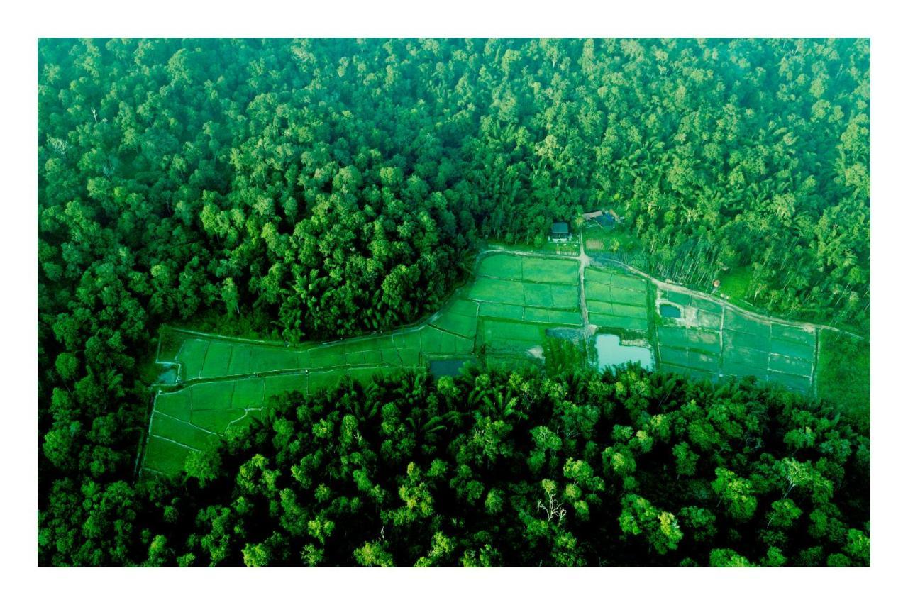 Vayal Veedu - Luxury Farm Villas By The Woods Muthanga Exterior foto