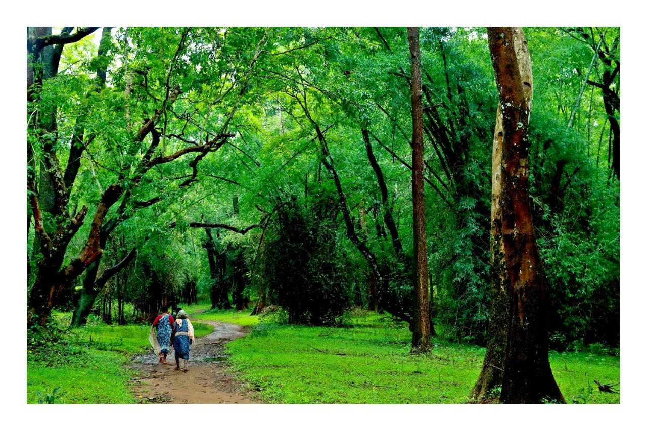 Vayal Veedu - Luxury Farm Villas By The Woods Muthanga Exterior foto